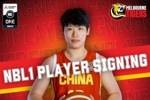 和杨舒予在澳洲继续联手！NBL1联赛墨尔本老虎官宣国手陈明伶加盟